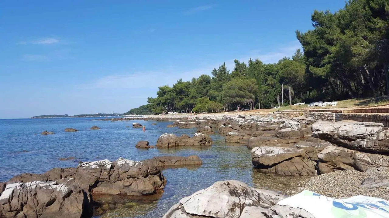 Apartment In Rovinj/Istrien 11466 רוביני